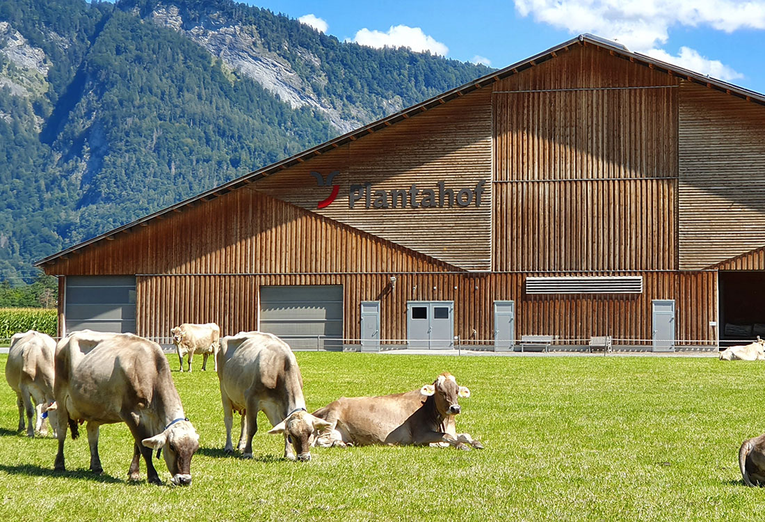 Plantahof