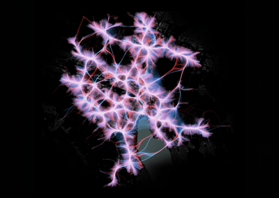 FHGR – Institut für Data Analysis, Artificial Intelligence, Visualization und Simulation (DAViS)