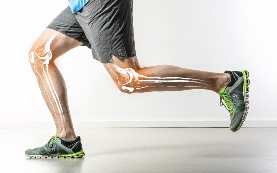 Bachelor in Physiotherapie (Modus A)