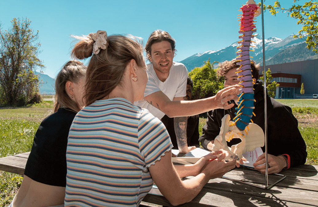 Bachelor of Science SUPSI in Physiotherapie