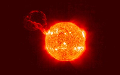 Sonnenprotonen und Leben auf der Erde