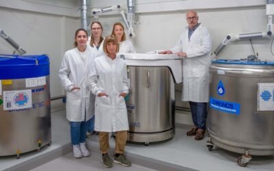 Erforschung entzündlicher Hauterkrankungen